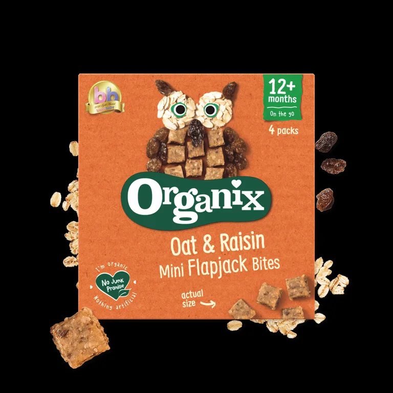 Organix Oat & Raisin Flapjack Bites