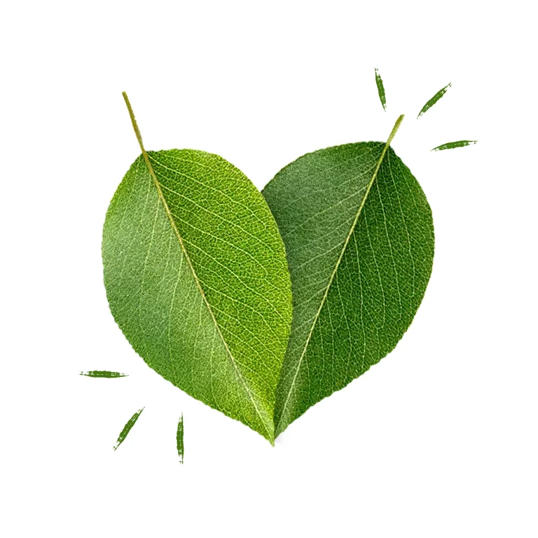 Innocent Gut Health, Kiwi, Ginger, Apple & Lime Shot 80ml