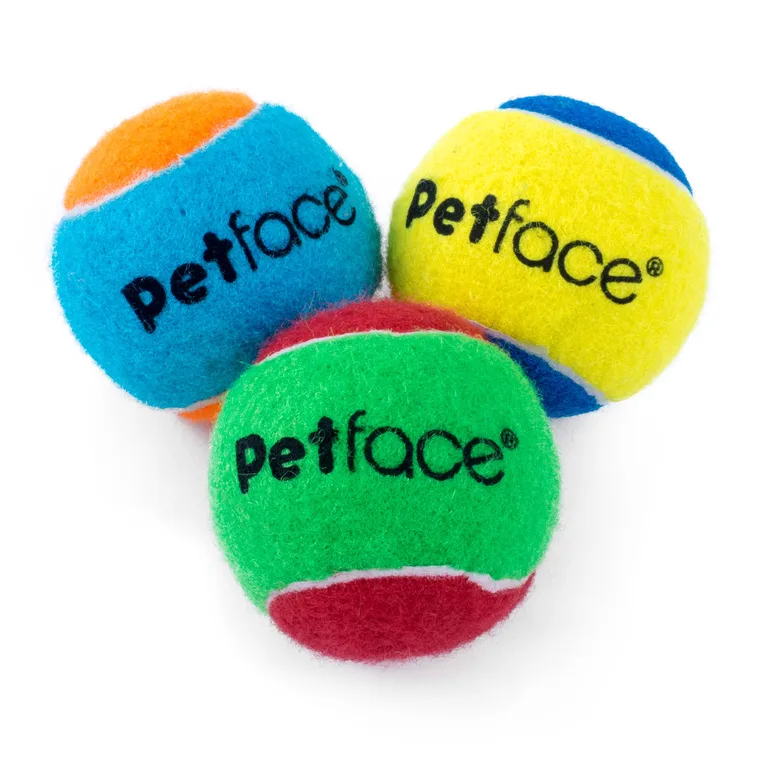Petface Squeaky Tennis Ball