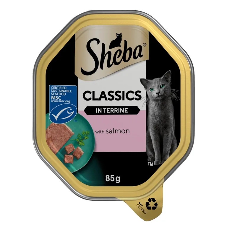 Sheba Classics Wet Cat Food Tray Salmon in Terrine 85g