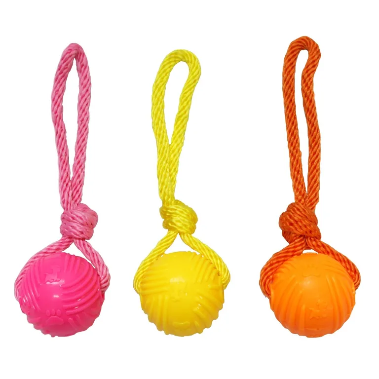 Good Boy Fetch Dog Toy Ball on Rope