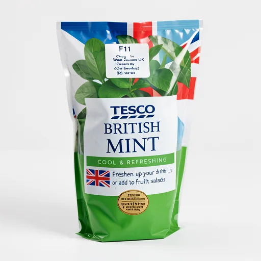 Tesco Growing Mint Medium Pot