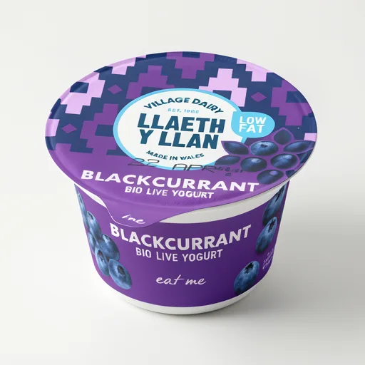 Village Dairy Llaeth y Llan Blackcurrant Low Fat Bio-Live Yogurt 125g