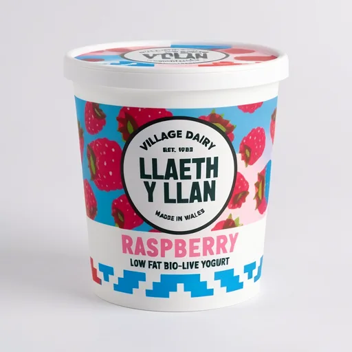 Village Dairy Llaeth y Llan Raspberry Low Fat Bio-Live Yogurt 125g