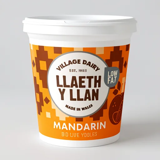 Village Dairy Llaeth y Llan Mandarin Low Fat Bio-Live Yogurt 125g