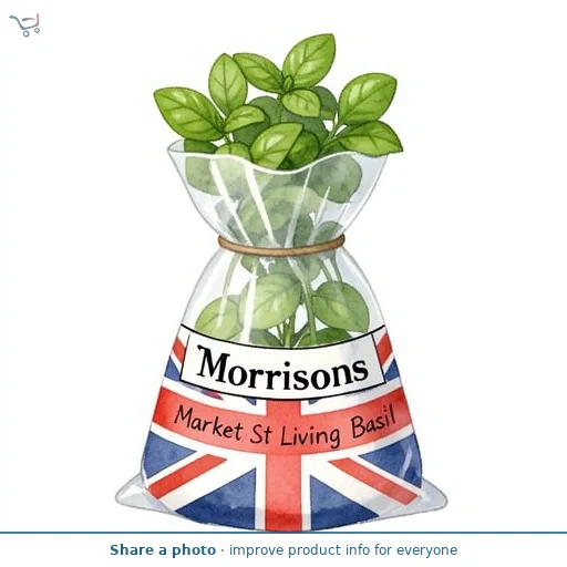 Morrisons Market St Living Basil