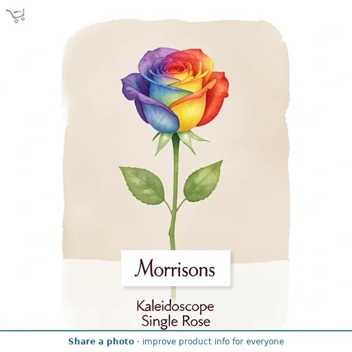 Morrisons Kaleidoscope Single Rose