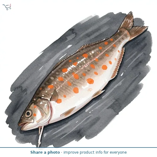 Market Street Plaice Fillet 