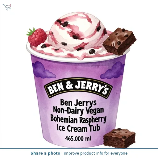 Ben & Jerrys Non-Dairy Vegan Bohemian Raspberry Ice Cream Tub   465ml