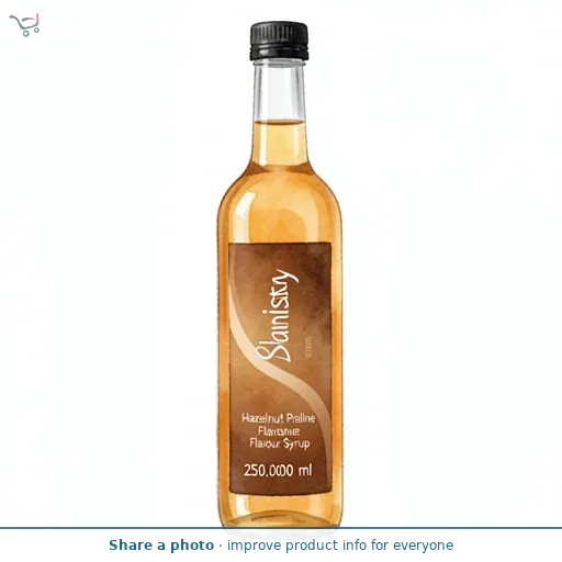 Skinny Barista Hazelnut Praline Flavour Syrup 250ml
