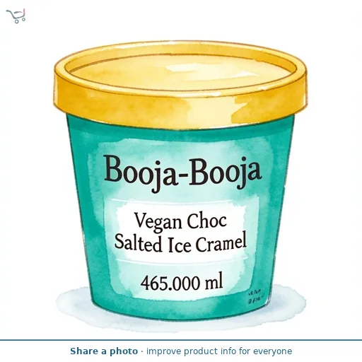 Booja-Booja Vegan Choc Salted Caramel Ice Cream