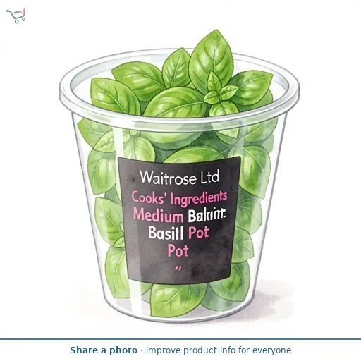 Cooks' Ingredients Medium Basil Pot