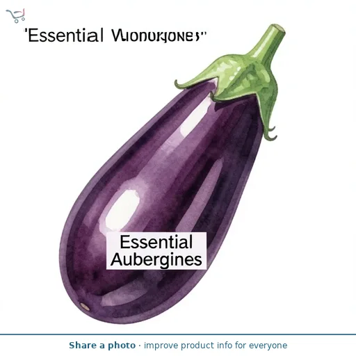 Essential Aubergines