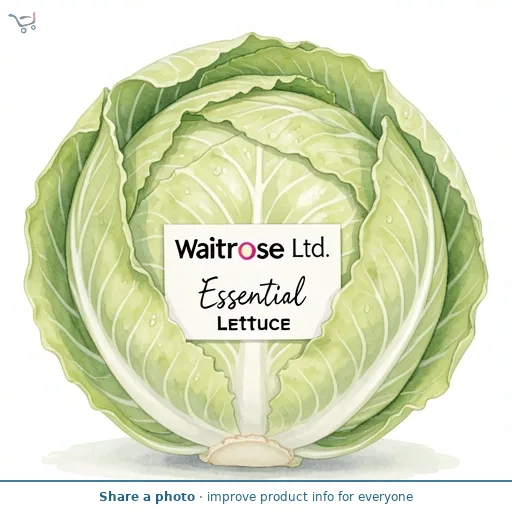 Essential Iceberg Lettuce