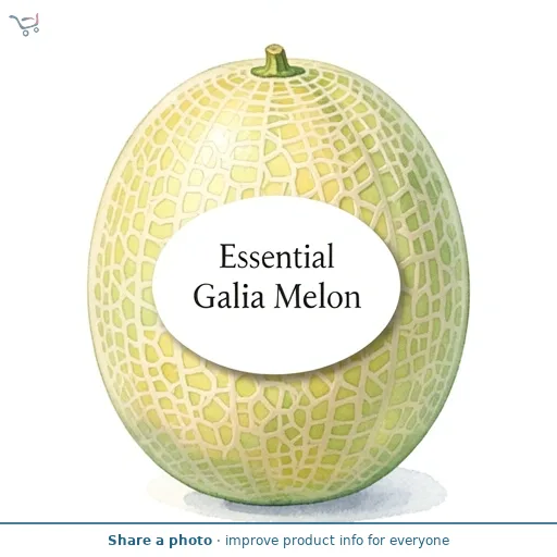Essential Galia Melon