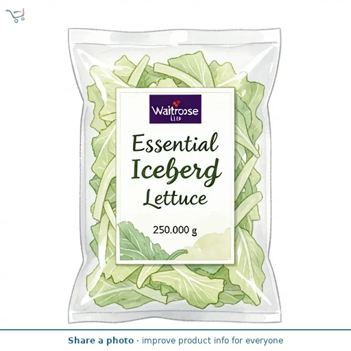 Essential Iceberg Lettuce