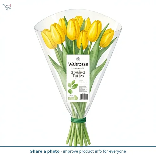 Waitrose Autumn Tulips