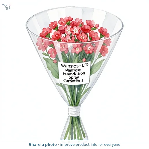 Waitrose Foundation Spray Carnations