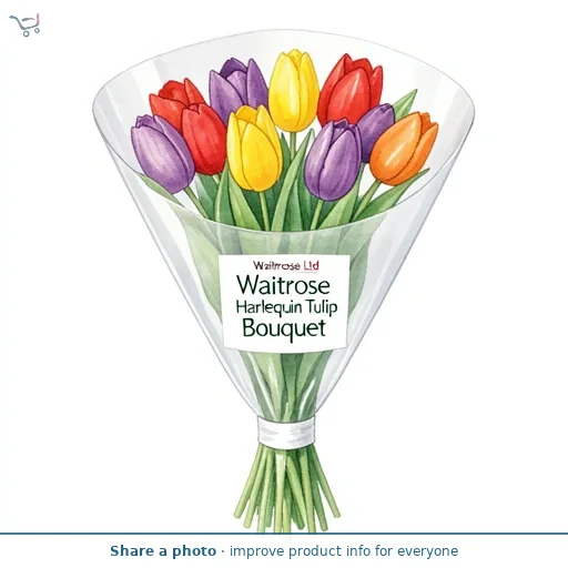 Waitrose Harlequin Tulip Bouquet