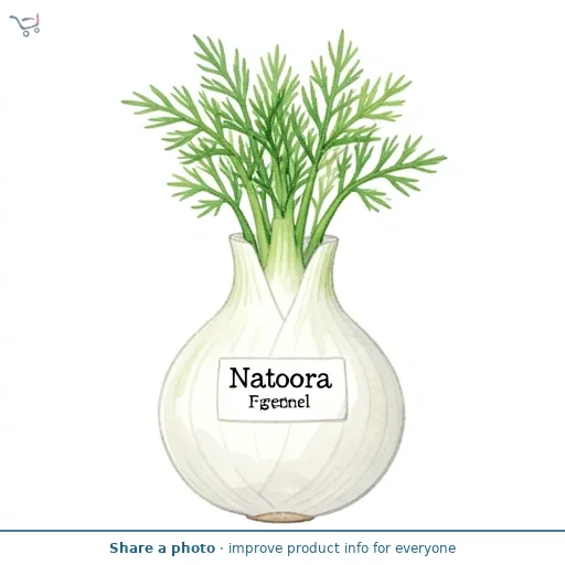 Natoora Large Fennel
