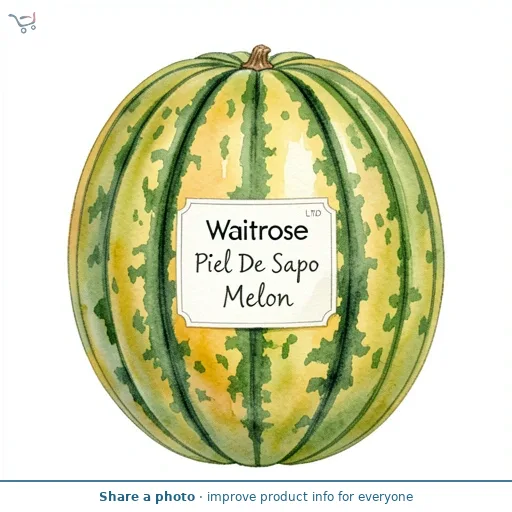 Waitrose Piel De Sapo Melon