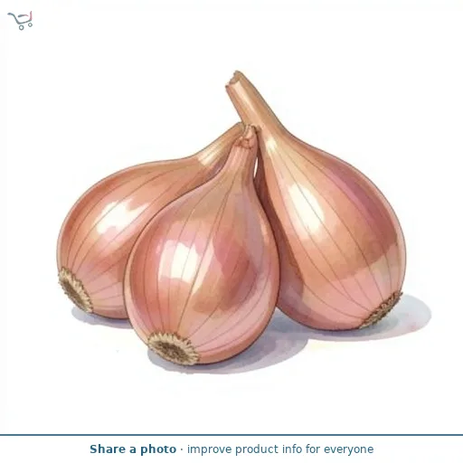 Waitrose Echalion Shallots