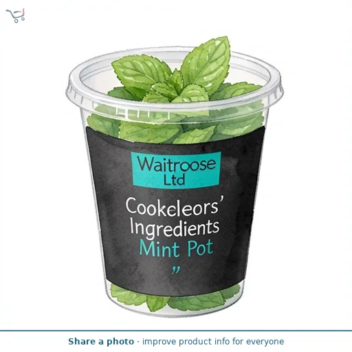 Cooks' Ingredients Mint Pot