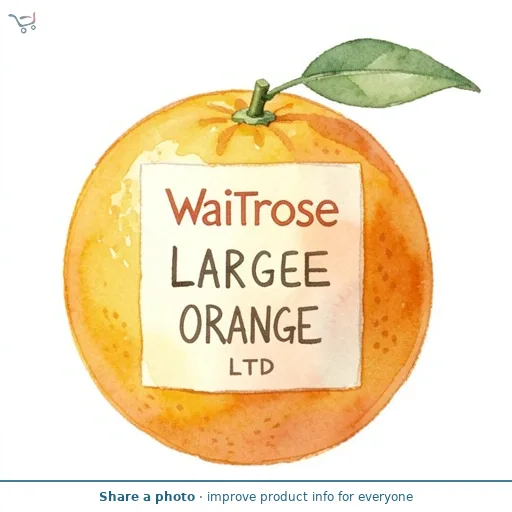 Waitrose Large Orange