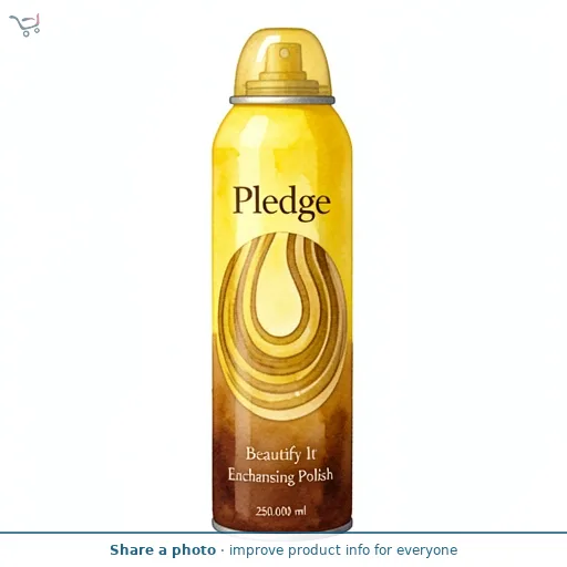 Pledge Beautify It Enchancing Polish