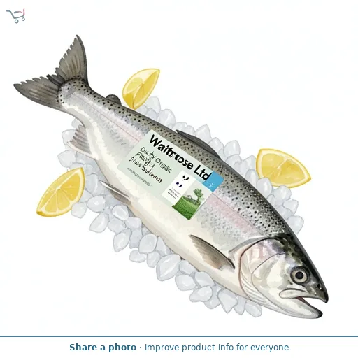Duchy Organic Fresh Whole Salmon