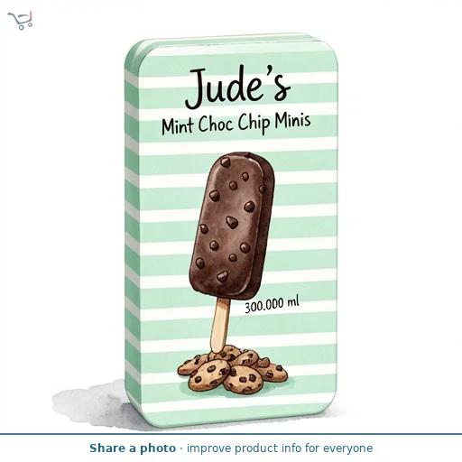 Jude's Mint Choc Chip Minis