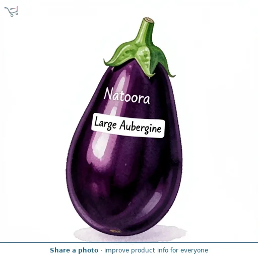 Natoora Large Aubergine