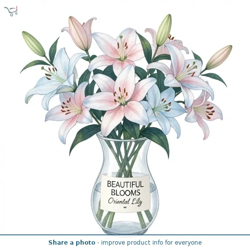 Oriental Lily