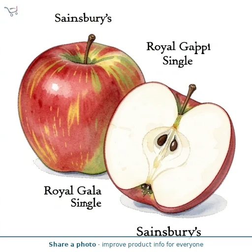 Sainsbury's Royal Gala Apple Single