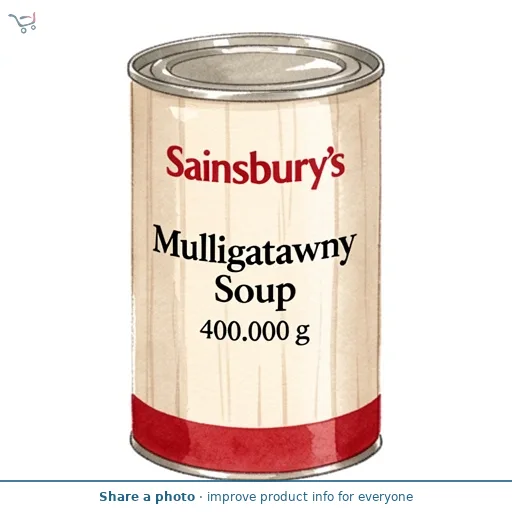 Sainsbury's Mulligatawny Soup 400g