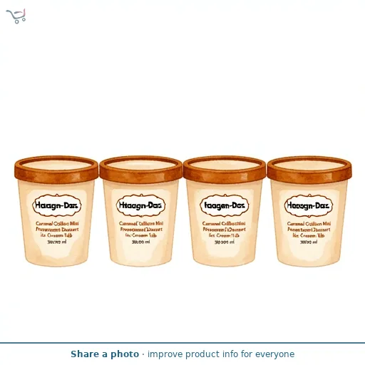 Haagen-Dazs Caramel Collection Mini Frozen Dessert Ice Cream Tub 4x95ml
