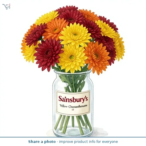 Sainsbury's Yellow Chrysanthemums
