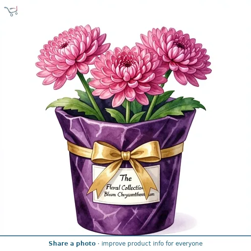 The Floral Collection Bloom Chrysanthemum