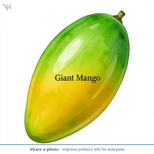 Sainsbury's Giant Mango