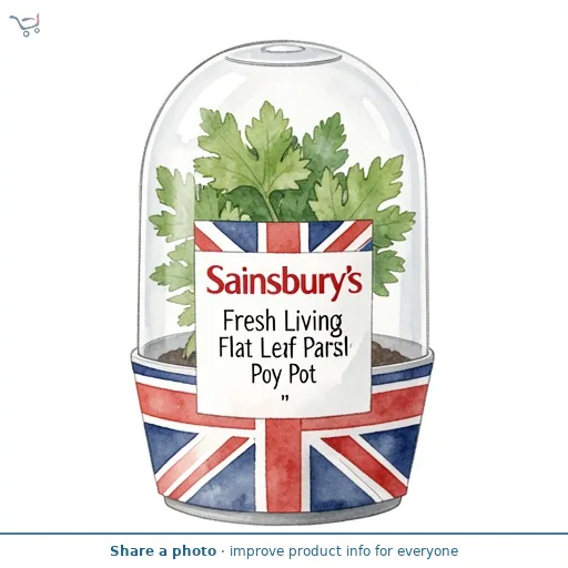 Sainsbury's Fresh Living Flat Leaf Parsley Pot