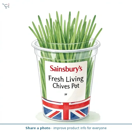 Sainsbury's Fresh Living Chives Pot