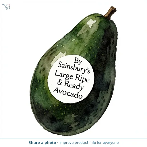Sainsbury's Large Ripe & Ready Avocado