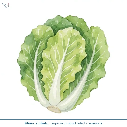 Sainsbury's Iceberg Lettuce