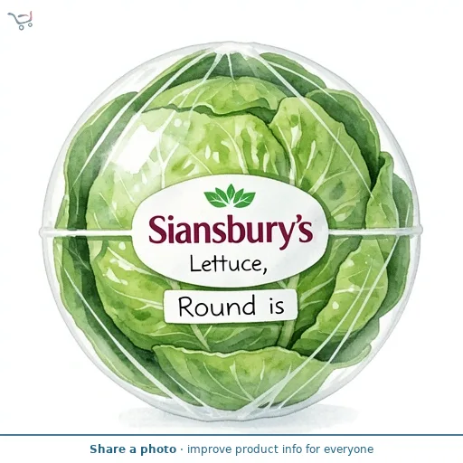 Sainsbury's Lettuce, Round
