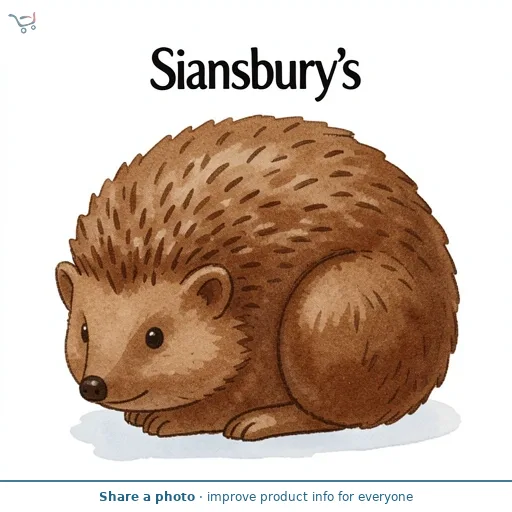 Sainsbury's Home Animal Plant Hedgehog Hanger