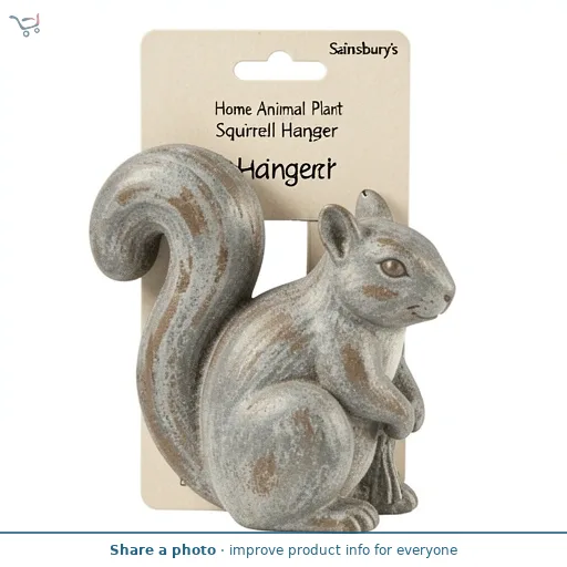 Sainsbury's Home Animal Plant Squirrel Hanger