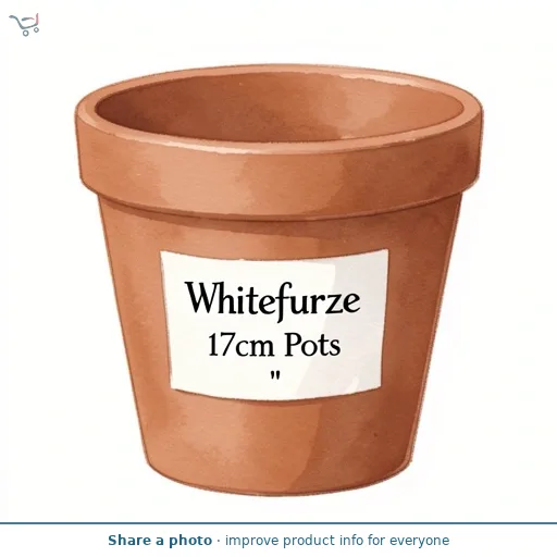 Whitefurze 17cm Pots