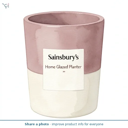 Sainsbury's Home Glazed Planter