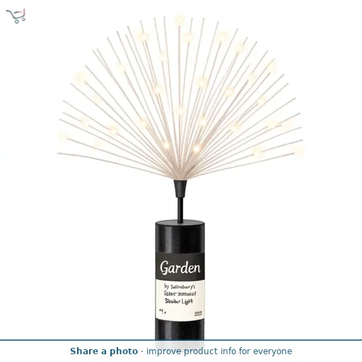 Garden by Sainsburys Solar Starburst Stake Light