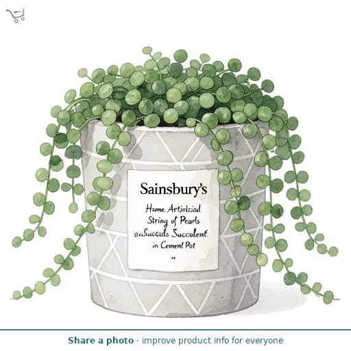 Sainsbury's Home Artificial String of Pearls Succulent in Cement Pot